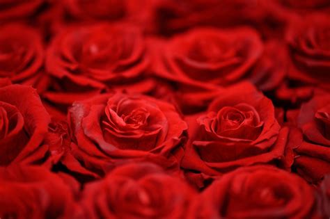 15 Common Red Flags in Polyamorous Relationships .